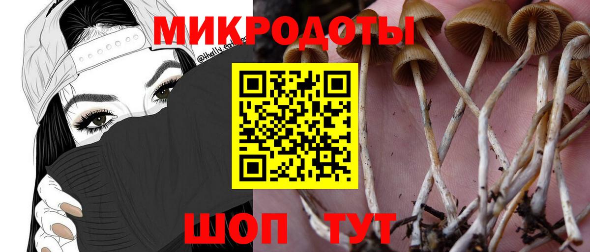 Галлюциногенные грибы мицелий Стрежевой