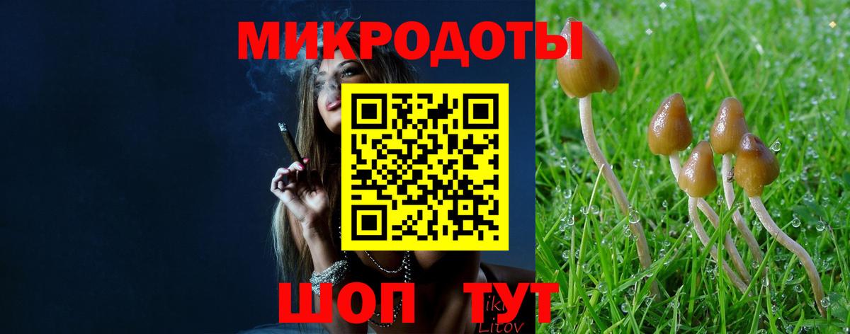 Стрежевой  Псилоцибиновые грибы Cubensis  Вход с VPN  наркотики  Галлюциногенные грибы Magic Shrooms 